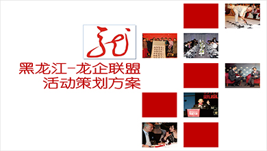 龍企聯盟商會策劃方案
