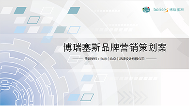 博瑞塞斯?fàn)I銷策劃案