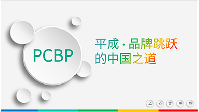 金正品牌戰(zhàn)略案