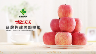 世欣沃沃品牌構(gòu)建方案